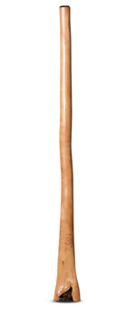 CrookedStixz Didgeridoo (AH351)